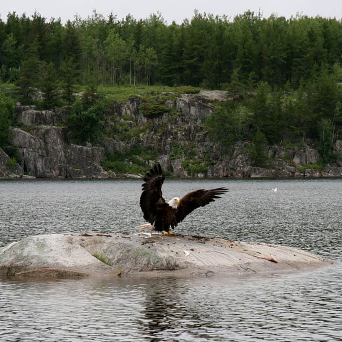 Book your next Ontario fly-in fishing experience with Walleye Lake Outposts