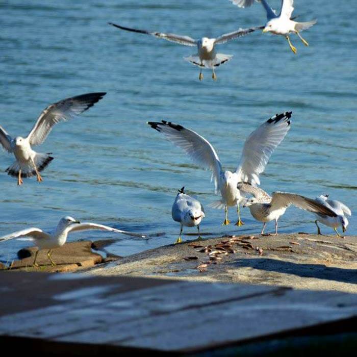 Located on the remote shores of Northwestern Ontario