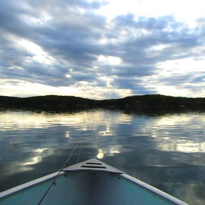 Our outpost guests have private access to 30,000 feet of shoreline, weedy bays, rocky reefs, and numerous small islands