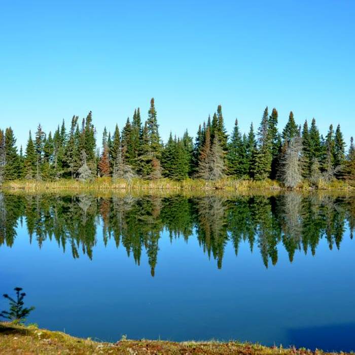 Walleye Lake Outposts - All inclusive fishing packages